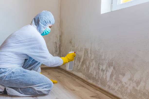 Licensed Commercial Mold Remediation service in Micro, NC - WQB Mold Removal