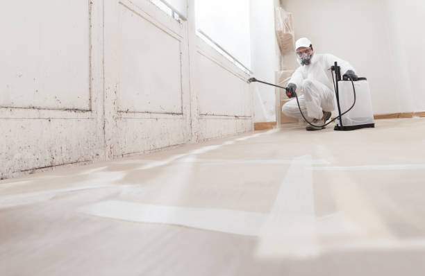 24/7 Emergency Commercial Mold Remediation experts in Micro, NC