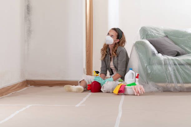 Reliable Commercial Mold Remediation contractor in Micro, NC by WQB Mold Removal