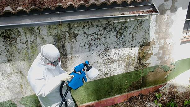 Top rated local Commercial Mold Remediation specialists in Micro, NC